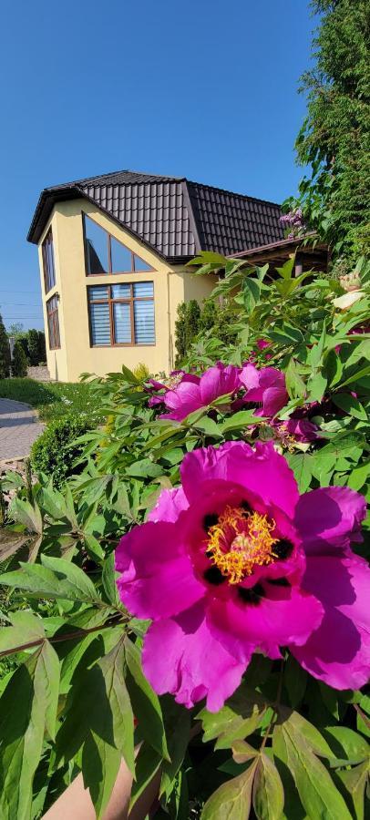 Трушки34 Villa Trushki Ngoại thất bức ảnh